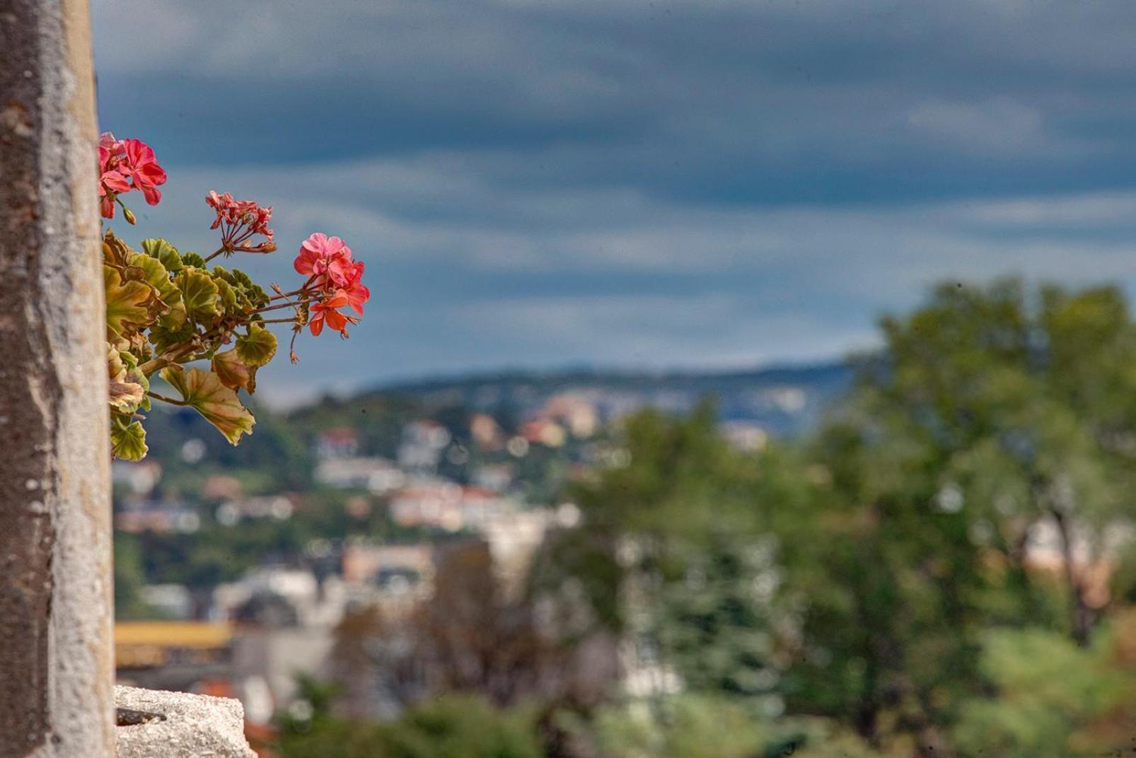 Apartamento La Perla Di San Giusto Trieste Exterior foto